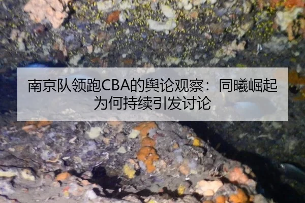 nan-jing-dui-ling-pao-de-yu-lun-guan-cha-tong-xi-jue-qi-wei-he-chi-xu-yin-fa-tao-lun-2-259.jpg